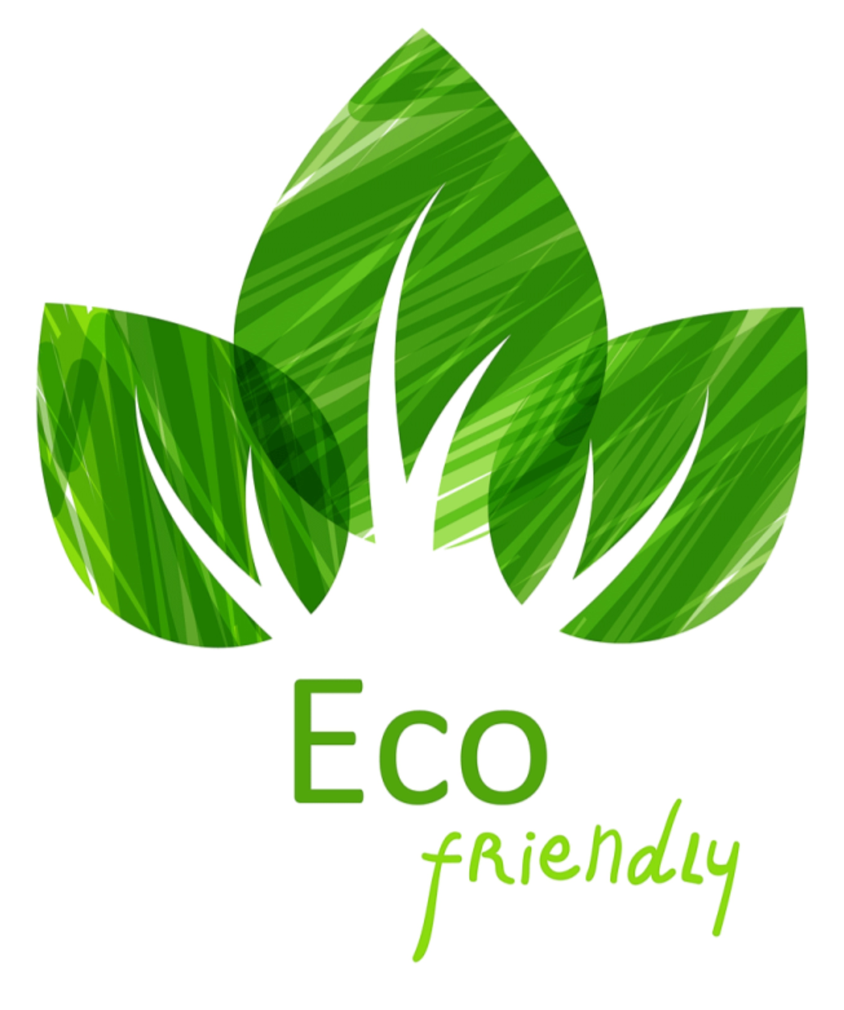 eco friendly